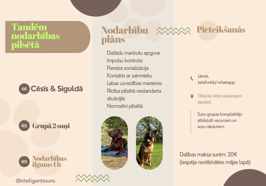 Pilsētas nodarbība grupā