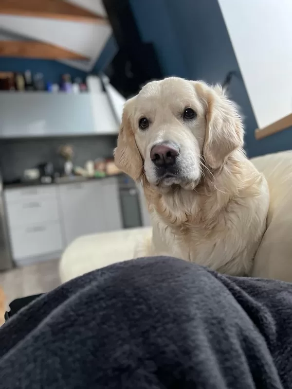 PABLO